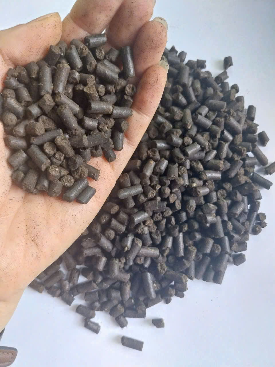 Phân gà hữu cơ Hàn Quốc